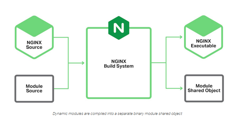 Nginx dynamic module